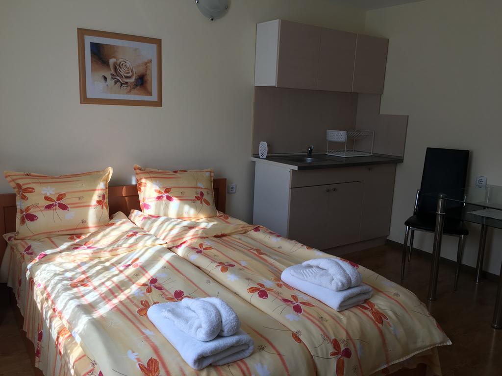 Triglav Edelweiss Guest House Pavel Banya Exterior photo